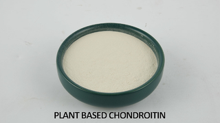 Vegan Chondroitin বাল্ক উপাদান | প্রস্তুতকারকের সরবরাহ